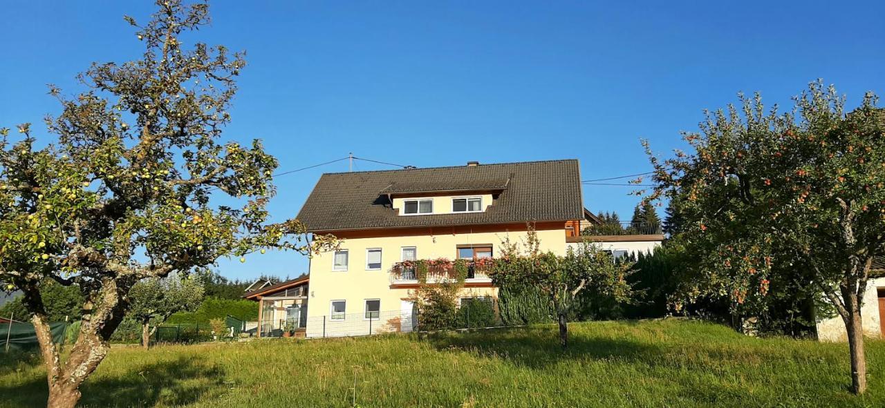 Haus Elvira Apartamento Sankt Stefan an der Gail Exterior foto